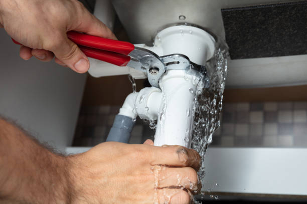 Best 24/7 water damage repair  in Pinckneyvle, IL