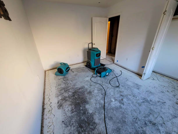 Best Flood restoration services  in Pinckneyvle, IL