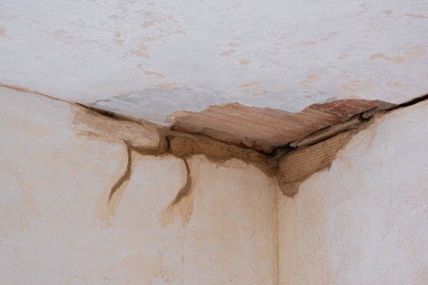 Professional Water damage restoration in Pinckneyville, IL