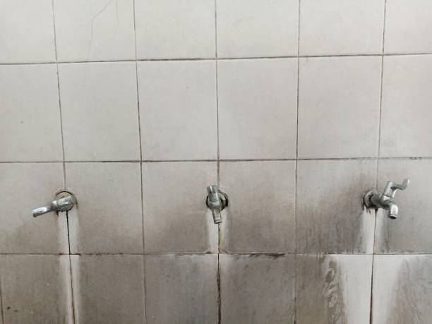Best Sewage cleanup and water damage restoration  in Pinckneyvle, IL