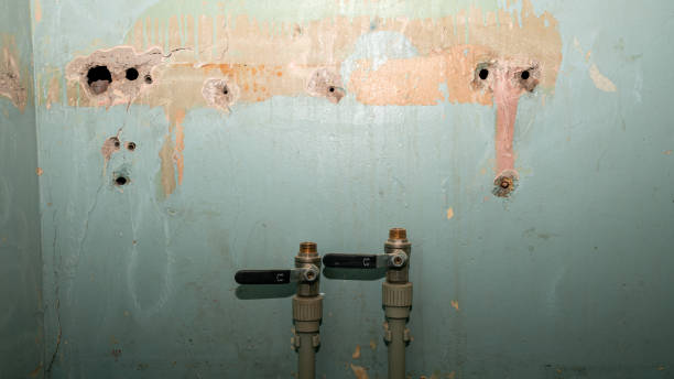 Best 24-hour water damage restoration  in Pinckneyvle, IL