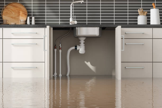 Best Fire Damage Restoration  in Pinckneyvle, IL