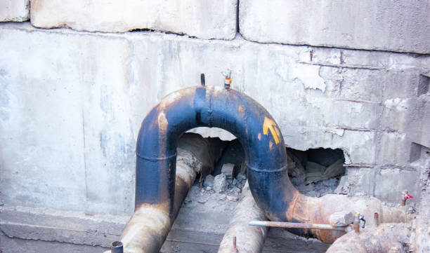 Best Professional water damage repair  in Pinckneyvle, IL
