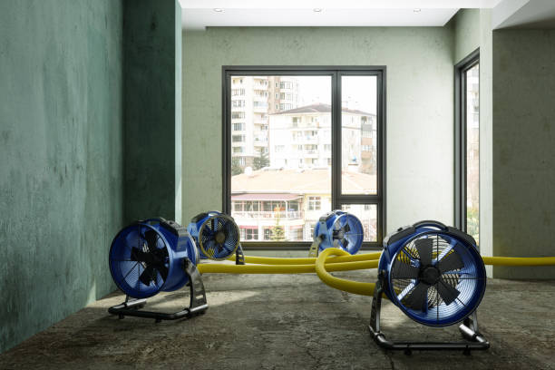 Sewage cleanup and water damage restoration in Pinckneyville, IL